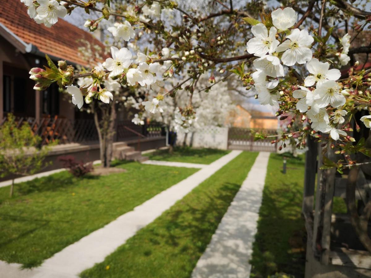 Turul -Kuca Za Odmor- Apartment Korod Bagian luar foto