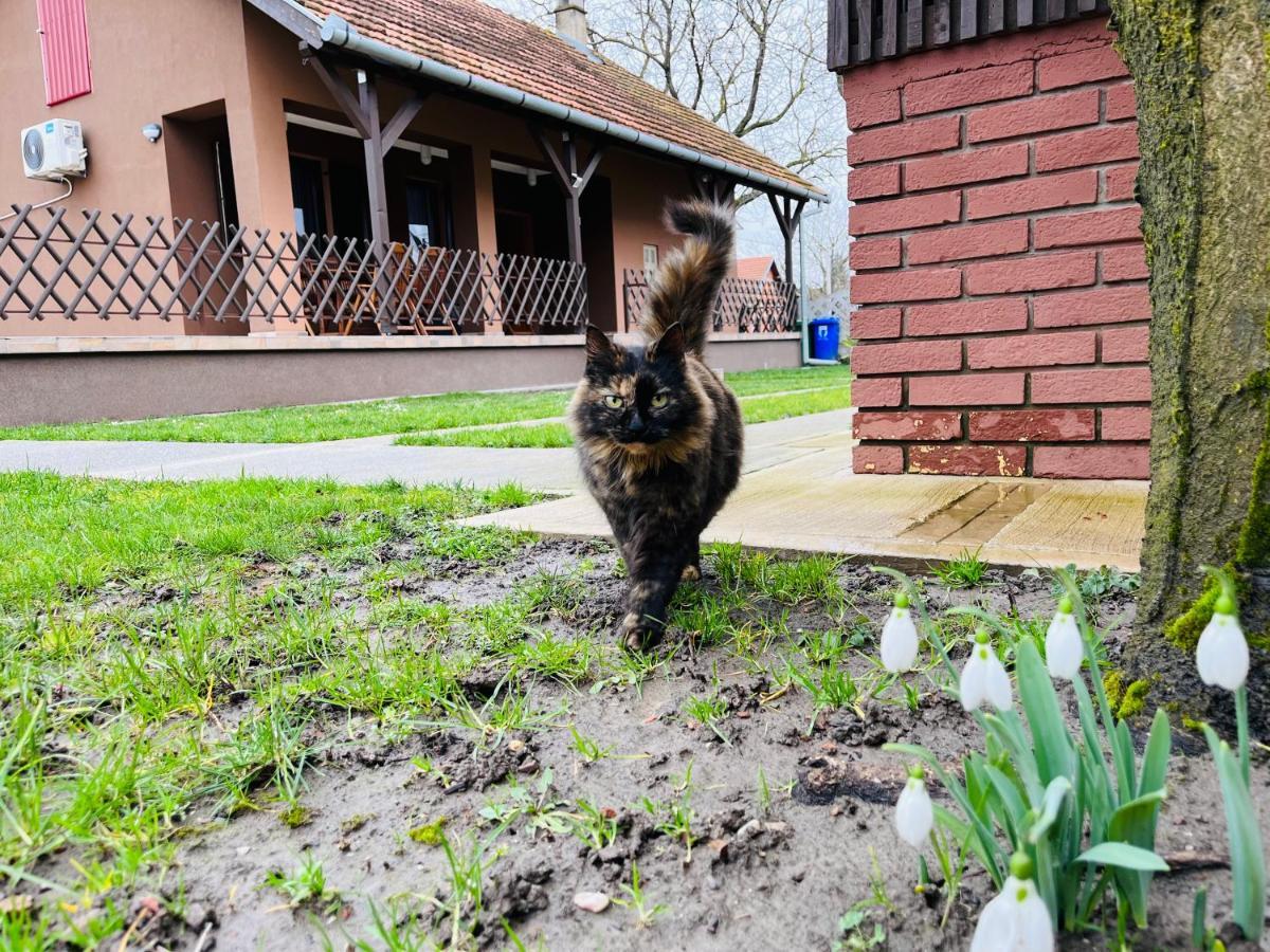 Turul -Kuca Za Odmor- Apartment Korod Bagian luar foto